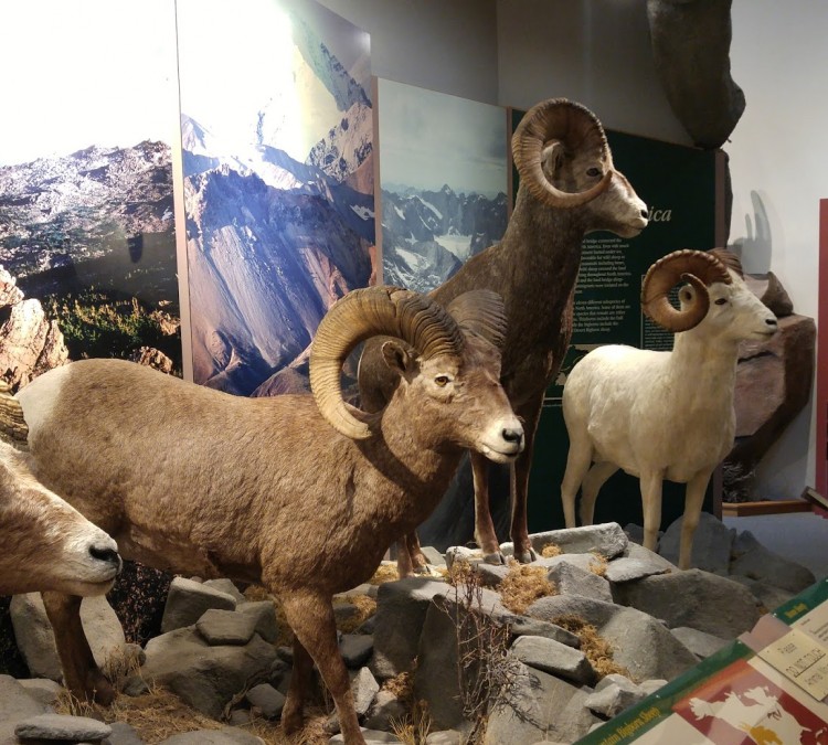 National Bighorn Sheep Center (Dubois,&nbspWY)